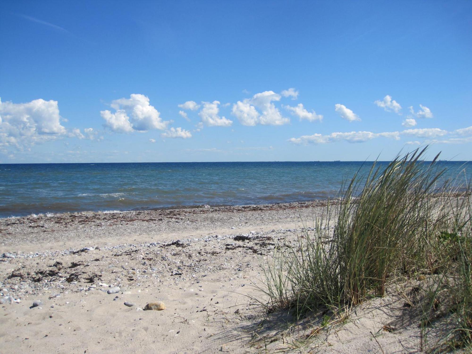 Fewo Im Kastania Nr19 Petersdorf auf Fehmarn Exterior foto